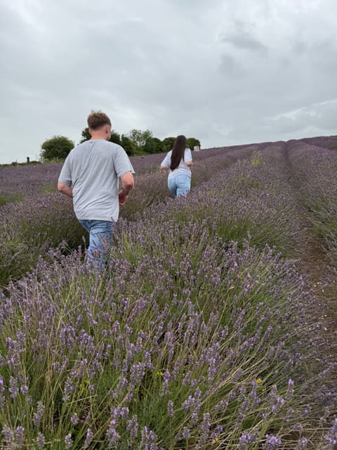Tallulah and Thomas walking through a lavender field